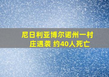 尼日利亚博尔诺州一村庄遇袭 约40人死亡